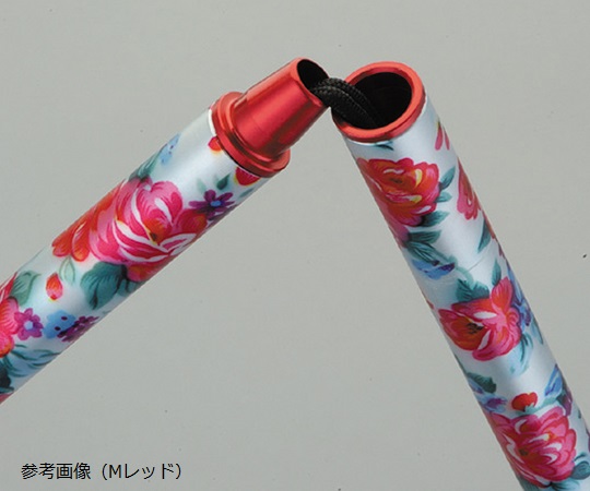 ステッキ